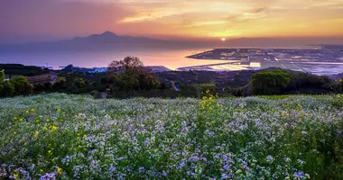 Tours in Japan | Japan Experience